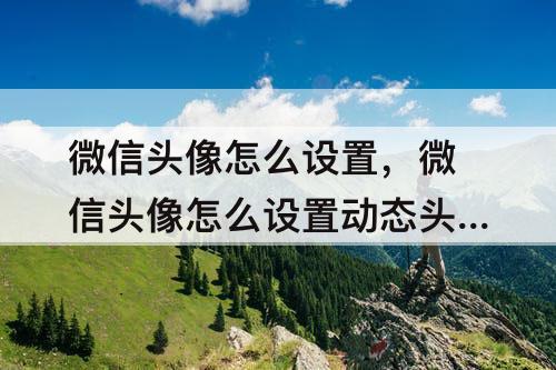 微信头像怎么设置，微信头像怎么设置动态头像