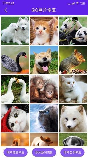 手机数据恢复管家  v1.2.1图4