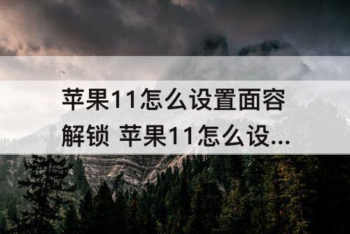 苹果11怎么设置面容解锁 苹果11怎么设置面容解锁微信