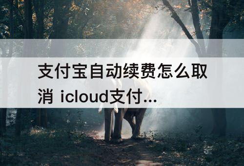 支付宝自动续费怎么取消 icloud支付宝自动续费怎么取消