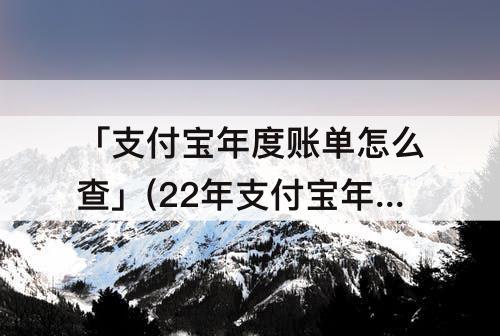 「支付宝年度账单怎么查」(22年支付宝年度账单怎么查)
