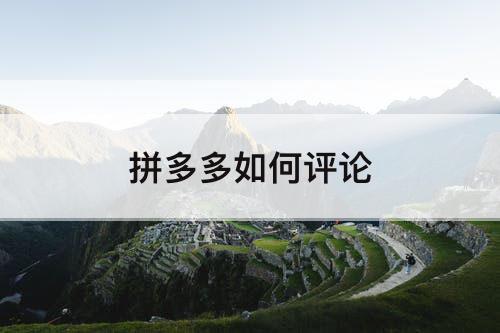 拼多多如何评论