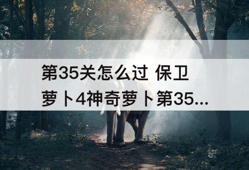 第35关怎么过 保卫萝卜4神奇萝卜第35关怎么过图解法