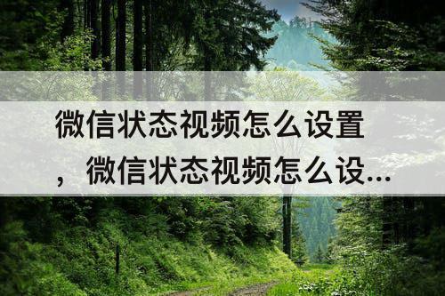 微信状态视频怎么设置，微信状态视频怎么设置声音