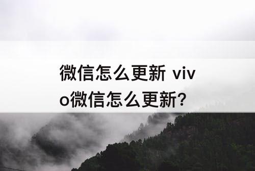 微信怎么更新 vivo微信怎么更新?