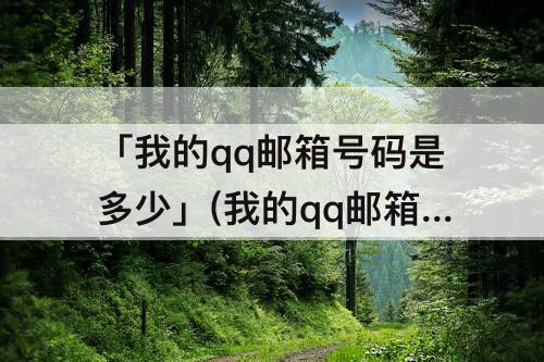 「我的qq邮箱号码是多少」(我的qq邮箱号码是多少怎么查)