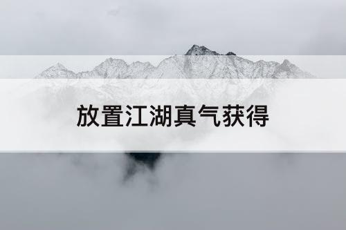 放置江湖真气获得
