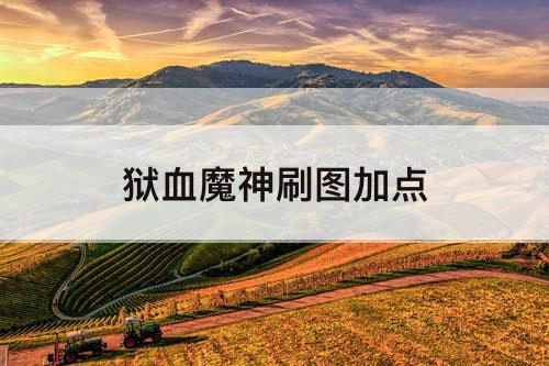 狱血魔神刷图加点