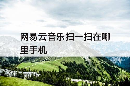 网易云音乐扫一扫在哪里手机