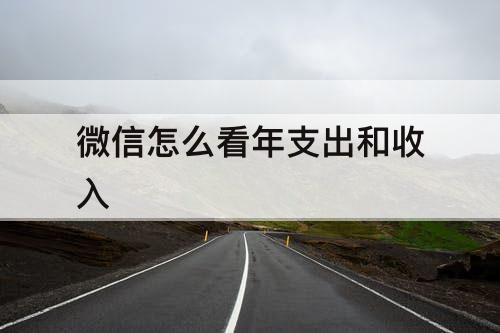 微信怎么看年支出和收入