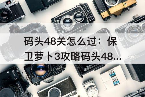 码头48关怎么过：保卫萝卜3攻略码头48关怎么过