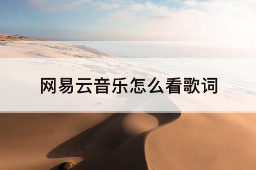 网易云音乐怎么看歌词