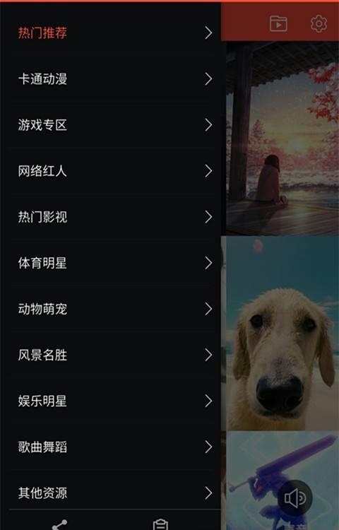 王者视频桌面  v1.0.3图3