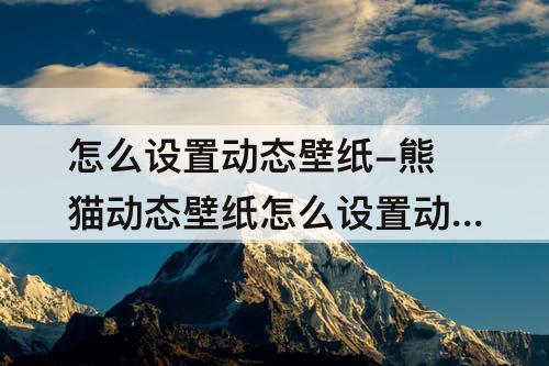 怎么设置动态壁纸-熊猫动态壁纸怎么设置动态壁纸