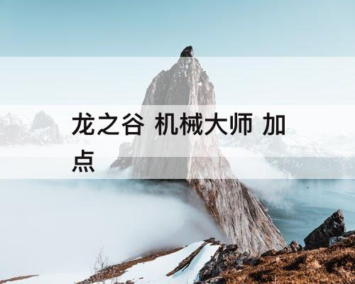 龙之谷 机械大师 加点