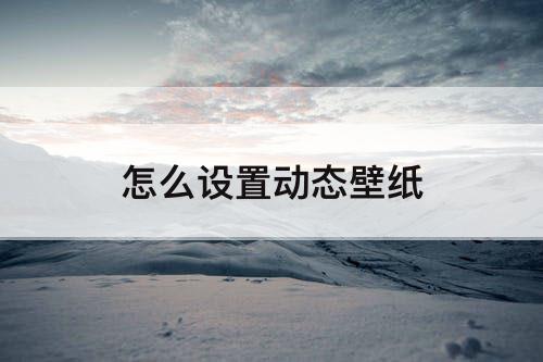 怎么设置动态壁纸