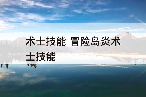 术士技能 冒险岛炎术士技能