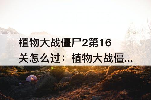 植物大战僵尸2第16关怎么过：植物大战僵尸2第16关怎么过困难