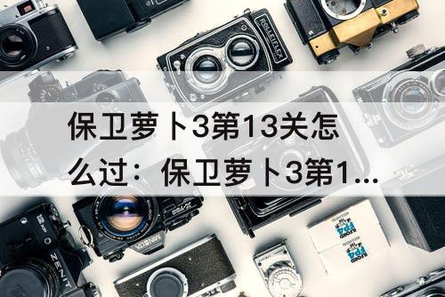 保卫萝卜3第13关怎么过：保卫萝卜3第13关怎么过码头