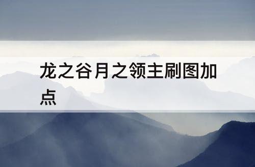 龙之谷月之领主刷图加点