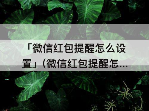 「微信红包提醒怎么设置」(微信红包提醒怎么设置红包来了)