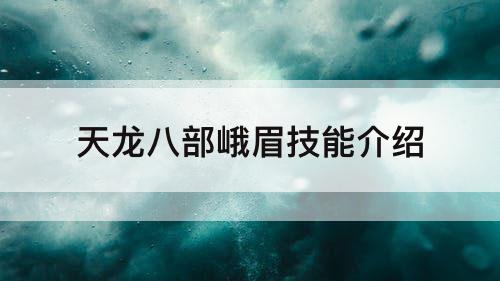 天龙八部峨眉技能介绍