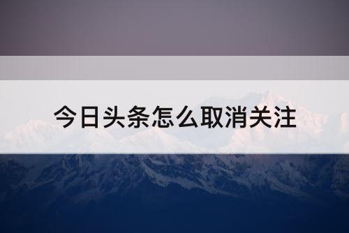 今日头条怎么取消关注