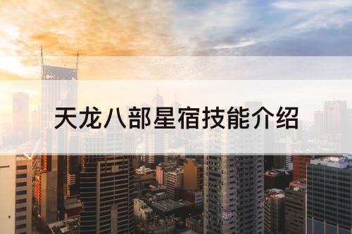 天龙八部星宿技能介绍