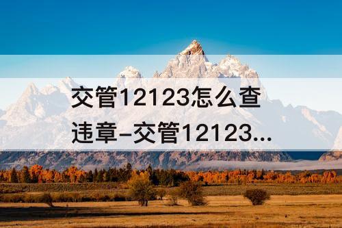 交管12123怎么查违章-交管12123怎么查违章缴费回执凭证