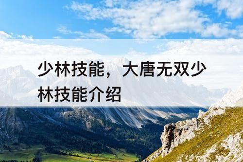 少林技能，大唐无双少林技能介绍