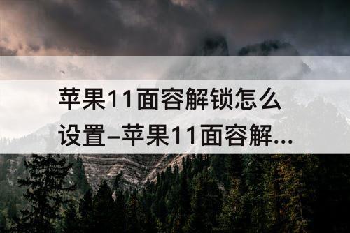 苹果11面容解锁怎么设置-苹果11面容解锁怎么设置微信支付