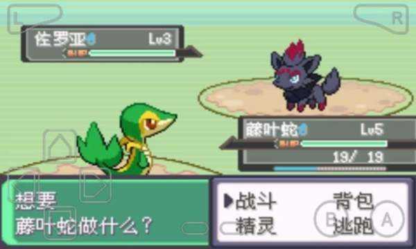 口袋妖怪漆黑的魅影  v5.0图2