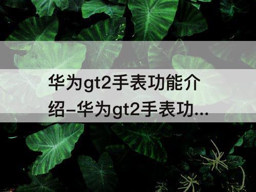 华为gt2手表功能介绍-华为gt2手表功能介绍微信怎么设置