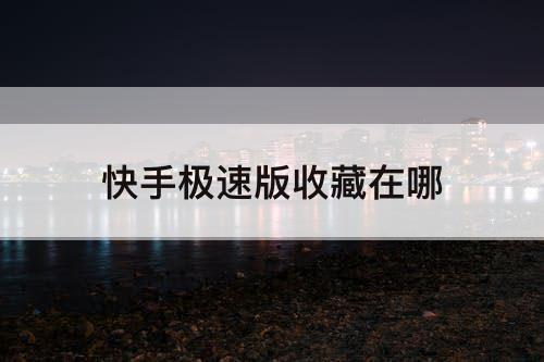 快手极速版收藏在哪