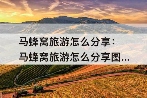 马蜂窝旅游怎么分享：马蜂窝旅游怎么分享图集