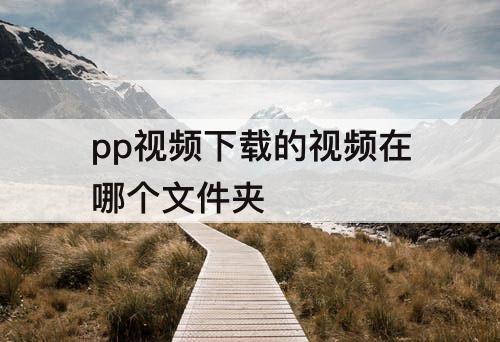 pp视频下载的视频在哪个文件夹
