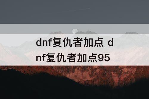 dnf复仇者加点 dnf复仇者加点95