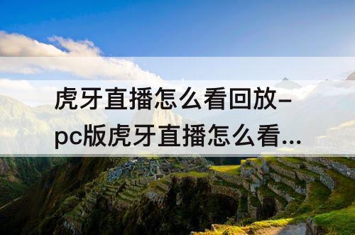 虎牙直播怎么看回放-pc版虎牙直播怎么看回放