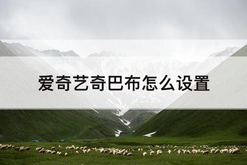 爱奇艺奇巴布怎么设置
