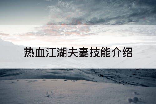 热血江湖夫妻技能介绍