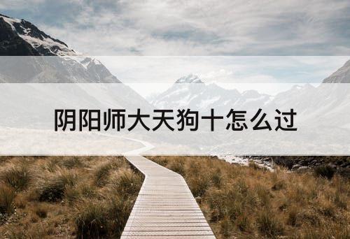 阴阳师大天狗十怎么过