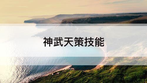 神武天策技能
