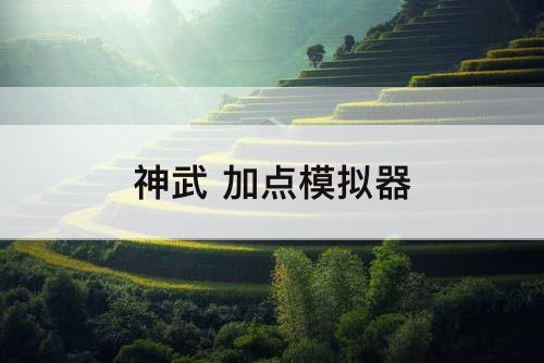 神武 加点模拟器