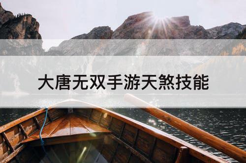 大唐无双手游天煞技能