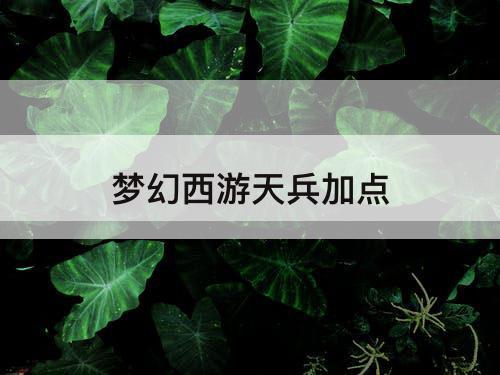 梦幻西游天兵加点