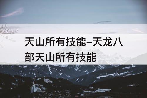 天山所有技能-天龙八部天山所有技能