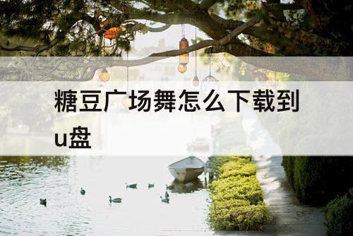 糖豆广场舞怎么下载到u盘