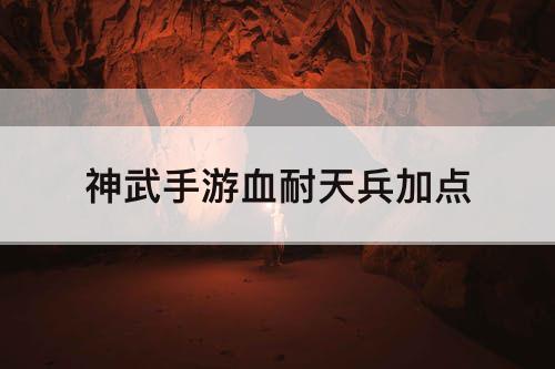神武手游血耐天兵加点