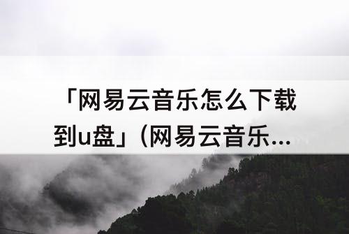 「网易云音乐怎么下载到u盘」(网易云音乐怎么下载到u盘mp3格式)