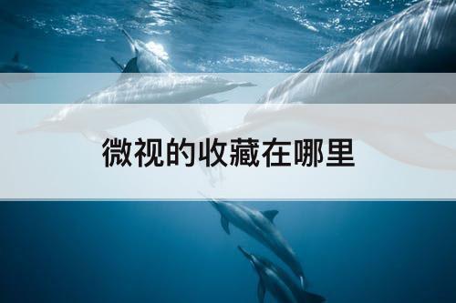 微视的收藏在哪里
